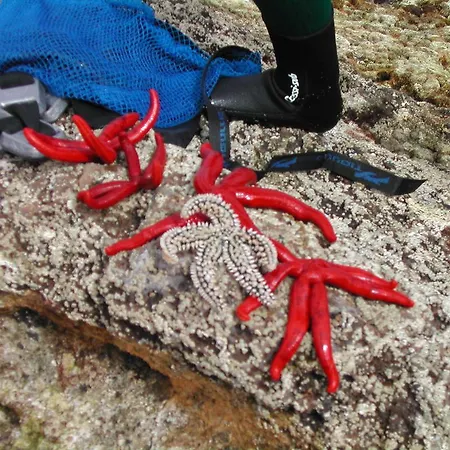 Casa Do Maranhao - Nature & Views Experience Dom wakacyjny *