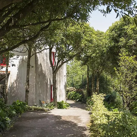 Casa Do Maranhao - Nature & Views Experience Nyaraló Capelas