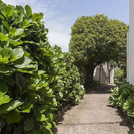 Casa Do Maranhao - Nature & Views Experience Semesterbostad