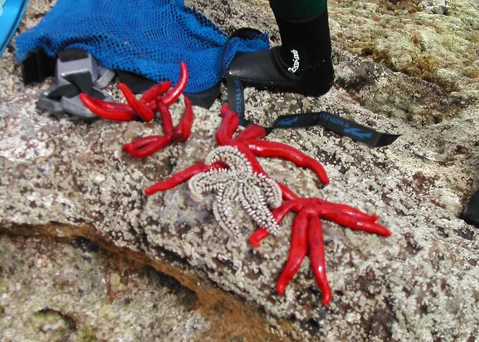 Casa Do Maranhao - Nature & Views Experience בית נופש *